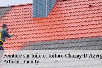 Peinture sur tuile et toiture  chazay-d-azergues-69380 Artisan Duculty