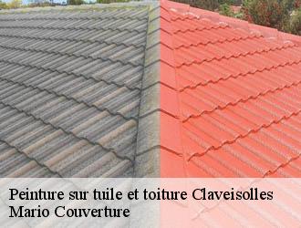 Peinture sur tuile et toiture  claveisolles-69870 Mario Couverture 