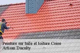 Peinture sur tuile et toiture coise-69590 Artisan FC Toiture