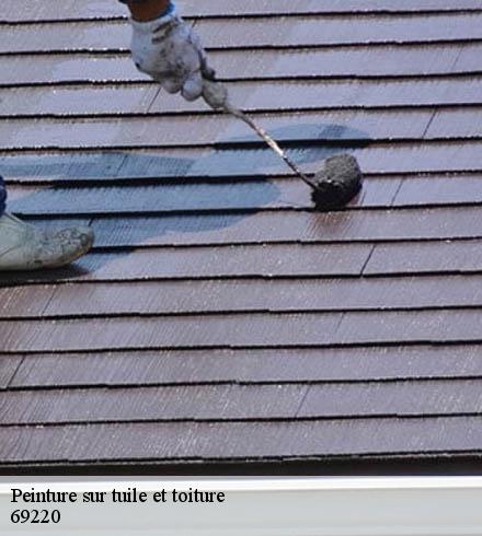 Peinture sur tuile et toiture  69220