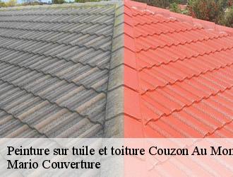 Peinture sur tuile et toiture  couzon-au-mont-d-or-69270 Mario Couverture 