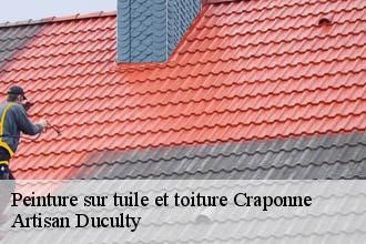 Peinture sur tuile et toiture  craponne-69290 Artisan Duculty