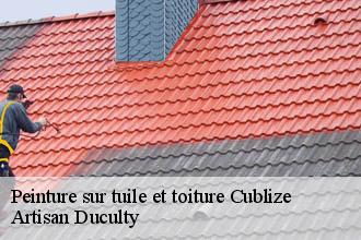 Peinture sur tuile et toiture  cublize-69550 Artisan Duculty