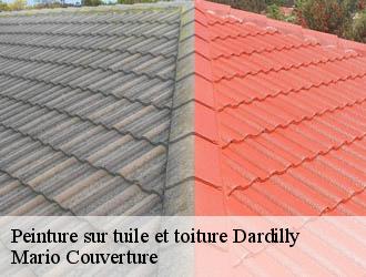 Peinture sur tuile et toiture  dardilly-69570 Mario Couverture 