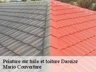 Peinture sur tuile et toiture  dareize-69490 Mario Couverture 