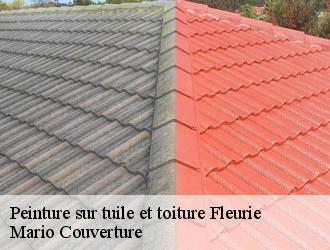 Peinture sur tuile et toiture  fleurie-69820 Mario Couverture 