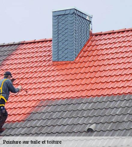 Peinture sur tuile et toiture  69250