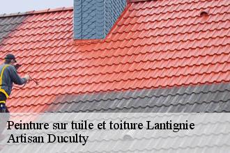 Peinture sur tuile et toiture  lantignie-69430 Artisan Duculty