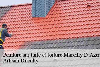 Peinture sur tuile et toiture  marcilly-d-azergues-69380 Artisan Duculty