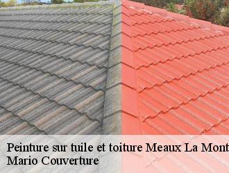 Peinture sur tuile et toiture meaux-la-montagne-69550 Mario Couverture
