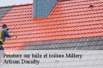 Peinture sur tuile et toiture  millery-69390 Artisan Duculty