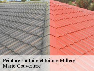 Peinture sur tuile et toiture  millery-69390 Mario Couverture 