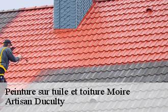 Peinture sur tuile et toiture  moire-69620 Artisan Duculty