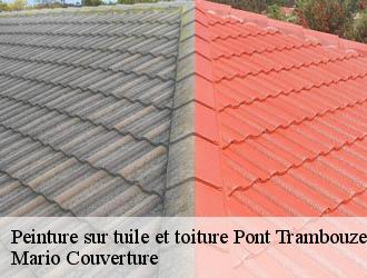 Peinture sur tuile et toiture  pont-trambouze-69240 Mario Couverture 