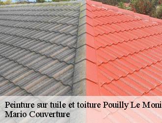 Peinture sur tuile et toiture  pouilly-le-monial-69400 Mario Couverture 