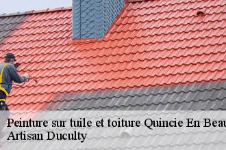 Peinture sur tuile et toiture  quincie-en-beaujolais-69430 Artisan Duculty