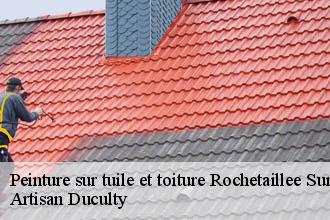 Peinture sur tuile et toiture  rochetaillee-sur-saone-69270 Artisan Duculty