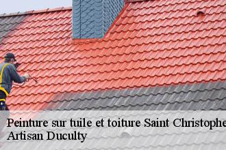 Peinture sur tuile et toiture  saint-christophe-69860 Artisan Duculty