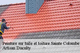 Peinture sur tuile et toiture  sainte-colombe-69560 Artisan Duculty