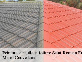Peinture sur tuile et toiture saint-romain-en-gal-69560 Mario Couverture