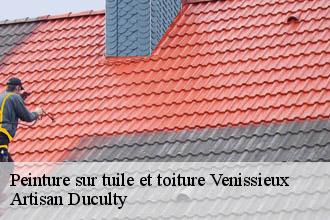 Peinture sur tuile et toiture  venissieux-69200 Artisan FC Toiture