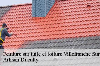 Peinture sur tuile et toiture  villefranche-sur-saone-69400 Artisan Duculty
