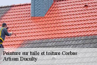 Peinture sur tuile et toiture  corbas-69960 Artisan Duculty