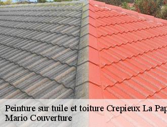 Peinture sur tuile et toiture  crepieux-la-pape-69140 Mario Couverture 