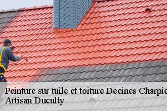 Peinture sur tuile et toiture  decines-charpieu-69150 Artisan Duculty