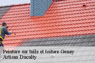 Peinture sur tuile et toiture  genay-69730 Artisan Duculty