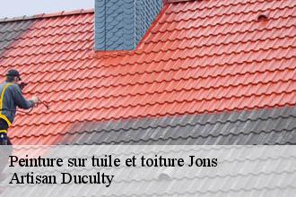 Peinture sur tuile et toiture  jons-69330 Artisan Duculty