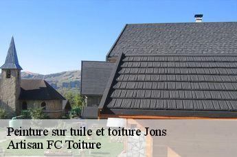 Peinture sur tuile et toiture  jons-69330 Artisan FC Toiture