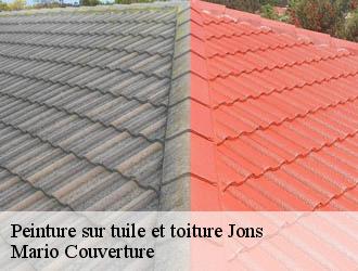 Peinture sur tuile et toiture  jons-69330 Mario Couverture 