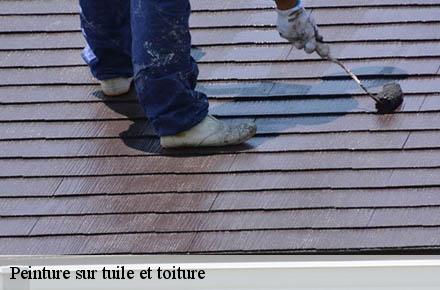 Peinture sur tuile et toiture  69330