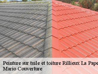 Peinture sur tuile et toiture  rillieux-la-pape-69140 Mario Couverture 