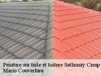 Peinture sur tuile et toiture sathonay-camp-69580 Mario Couverture
