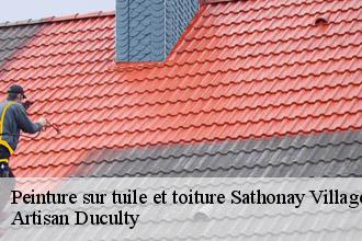 Peinture sur tuile et toiture  sathonay-village-69580 Artisan Duculty