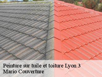 Peinture sur tuile et toiture  lyon-3-69003 Mario Couverture 