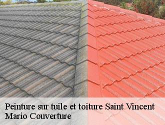 Peinture sur tuile et toiture  saint-vincent-69440 Mario Couverture 