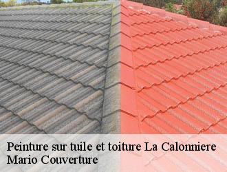 Peinture sur tuile et toiture  la-calonniere-69690 Mario Couverture 