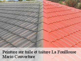 Peinture sur tuile et toiture la-fouillouse-69640 Mario Couverture