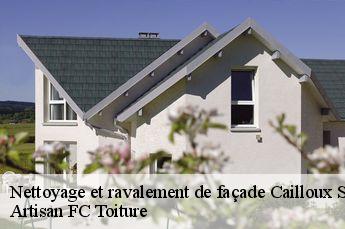Nettoyage et ravalement de façade  cailloux-sur-fontaines-69270 Artisan FC Toiture