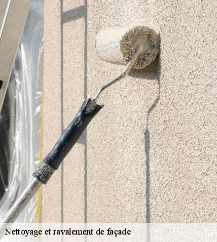 Nettoyage et ravalement de façade 69520