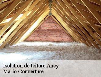 Isolation de toiture  ancy-69490 Mario Couverture 