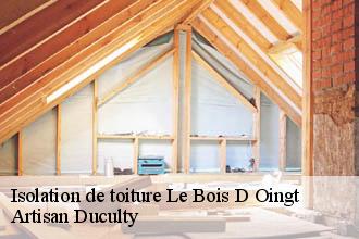 Isolation de toiture  le-bois-d-oingt-69620 Artisan Duculty