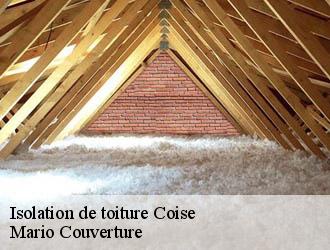 Isolation de toiture  coise-69590 Mario Couverture 