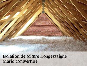 Isolation de toiture longessaigne-69770 Mario Couverture