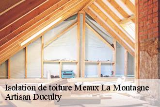 Isolation de toiture  meaux-la-montagne-69550 Artisan Duculty
