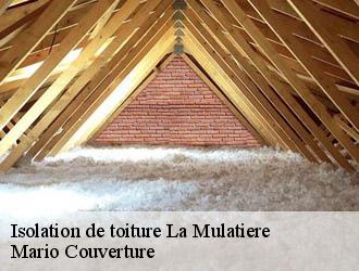 Isolation de toiture  la-mulatiere-69350 Mario Couverture 