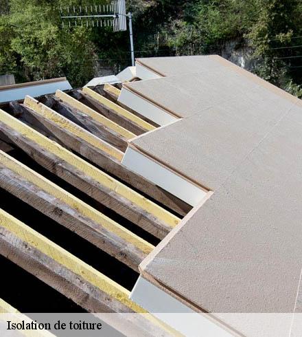 Isolation de toiture  69290